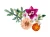 LEGO(R) BOTANICALS 10342