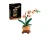 LEGO(R) BOTANICALS 10343