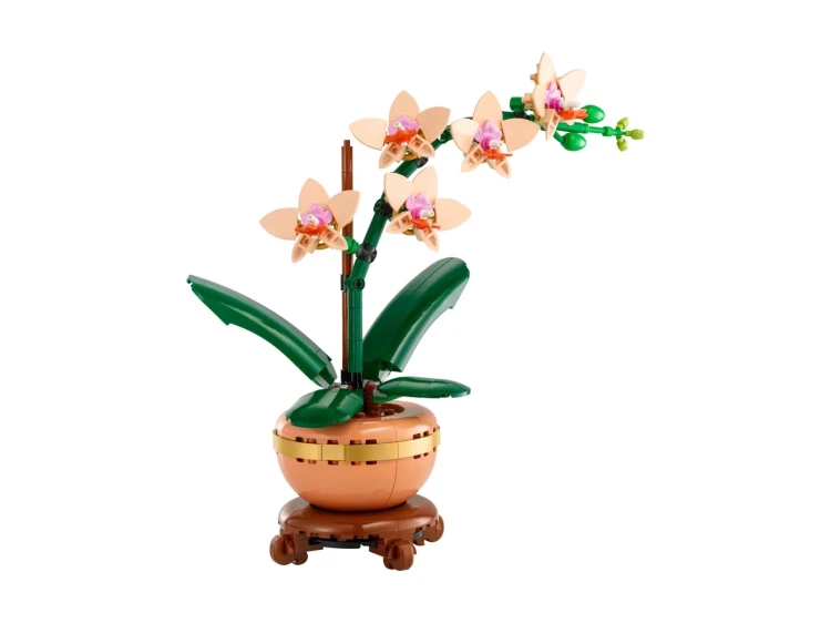 LEGO(R) BOTANICALS 10343