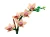 LEGO(R) BOTANICALS 10343