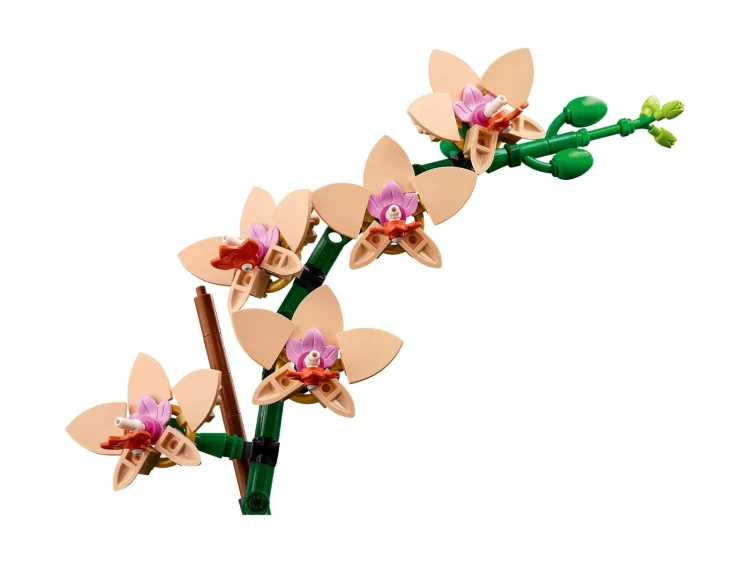 LEGO(R) BOTANICALS 10343