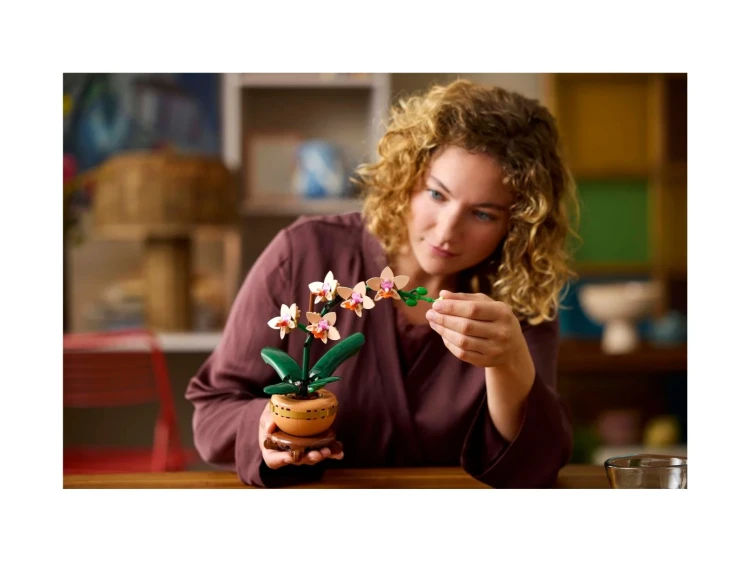 LEGO(R) BOTANICALS 10343