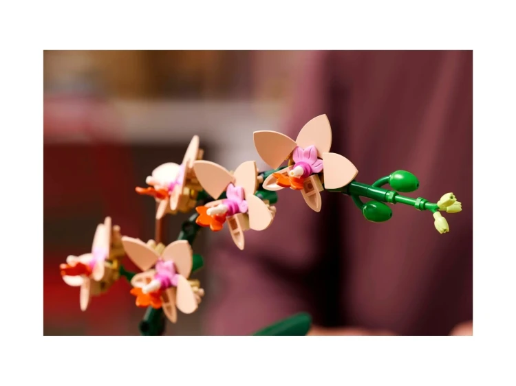 LEGO(R) BOTANICALS 10343
