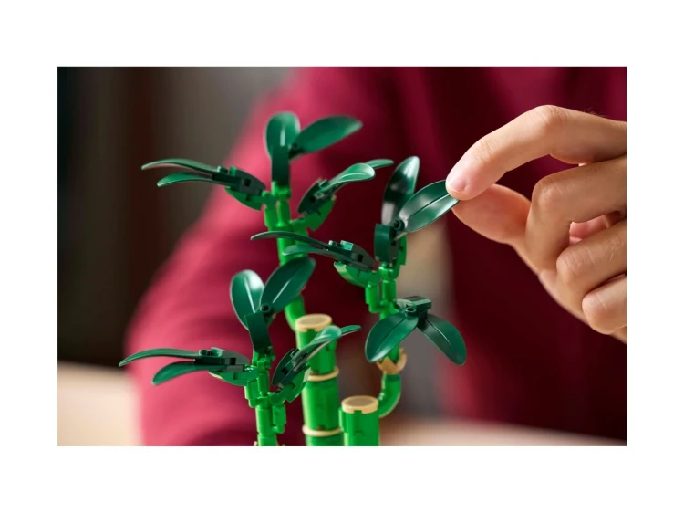 LEGO(R) BOTANICALS 10344