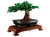LEGO Icons 10281 Drzewko Bonsai