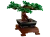 LEGO Icons 10281 Drzewko Bonsai