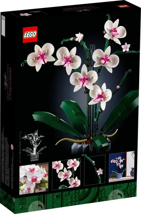 LEGO Icons 10311 Orchidea