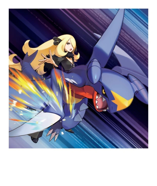 pokemon-tcg-cynthias-garchomp-ex-premium-collection (8).jpg
