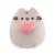 Pusheen z sercem duży .jpg