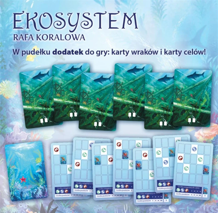 ekosystem-2-rafa-koralowa (6).jpg