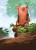 rebel-gra-rodzinna-everdell-duo-art2.jpg
