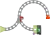 10425_Top_01_01.png.webp