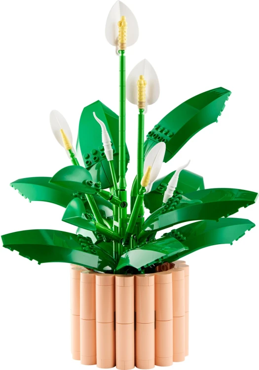 LEGO BOTANICALS 11504 Skrzydłokwiat MrPuggy.jpg