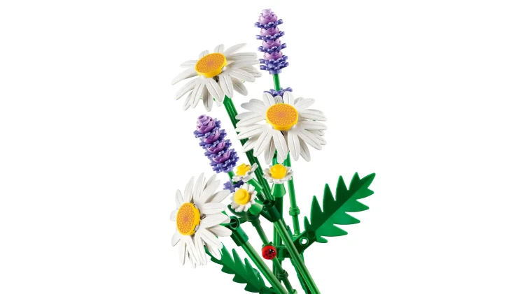 11508_WEB_SEC01_NOBG_en-gb.png.webp