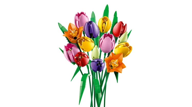 11501_WEB_PRI_NOBG_en-gb.png.webp