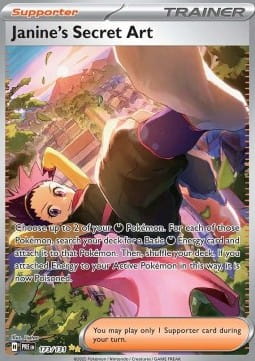 Janine's Secret Art (PRE 173).jpg