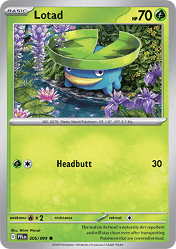 Lotad (PFL 005).png