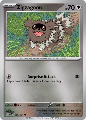 Zigzagoon (PFL 081)R.jpeg