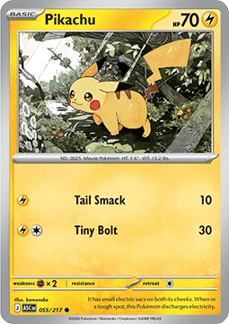 Pikachu (ASC 055).png