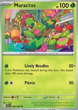 Maractus (BLK 008).jpg
