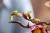 bltf1012114bd36e2ac-11510_Lifestyle_Build_06.jpg