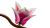 bltf1012114bd36e2ac-11510_WEB_SEC03_NOBG.png
