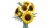 blt1c33118501c8da2f-11502_WEB_PRI_NOBG.png