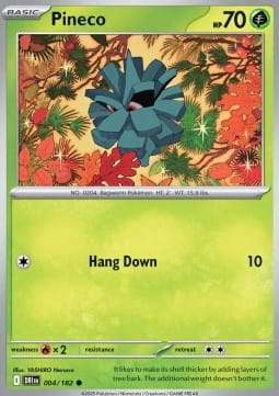 Pineco (DRI 004).jpg