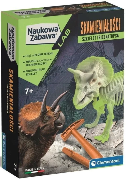 Skamieniałości triceratops fluo mr puggy.jpg