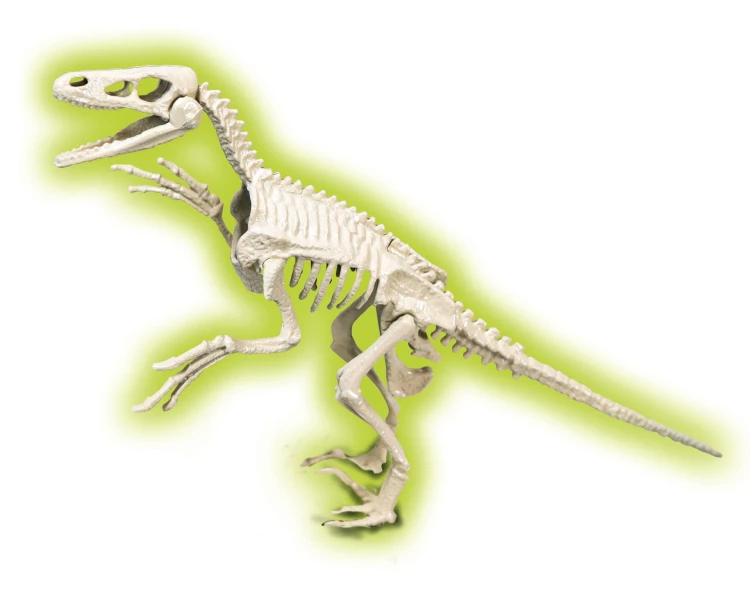 Skamieniałości - Welociraptor2 Mr Puggy.jpg
