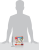 Pokemon-First-Partner-Illustration-Collection-Series-2-SCALE.png