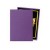 Dragon Shield Standard - Matte Amethyst (100 bustine) MrPuggy.jpg