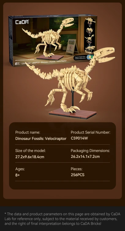 pol_pl_Klocki-konstrukcyjne-CaDA-zestaw-szkielet-dinozaura-Dinosaur-Fossils-Velociraptor-256-elementow-39009_4.jpg