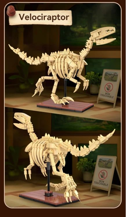 pol_pl_Klocki-konstrukcyjne-CaDA-zestaw-szkielet-dinozaura-Dinosaur-Fossils-Velociraptor-256-elementow-39009_5.jpg