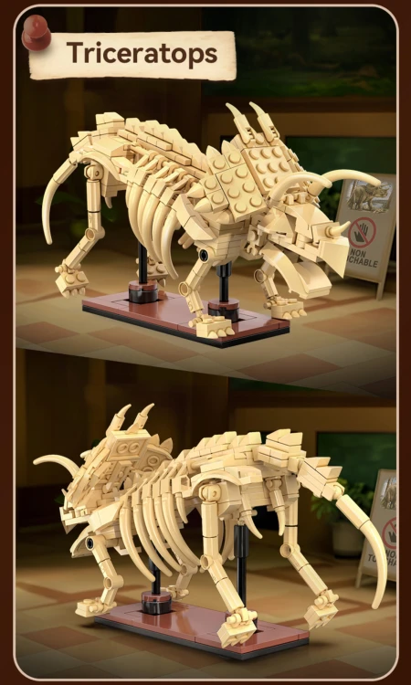 pol_pl_Klocki-konstrukcyjne-CaDA-zestaw-szkielet-dinozaura-Dinosaur-Fossils-Triceratops-272-elementy-39007_5.jpg