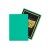 Dragon Shield Standard Sleeves - Matte Mint (100 Sleeves) MrPuggy.jpeg