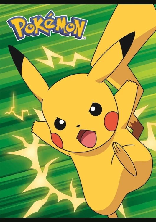 Zeszyt Pokemon mr puggy 4