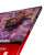 Book-AUN-Shot-16_0000.png