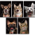 brulion a6 80 kratka herlitz mr puggy