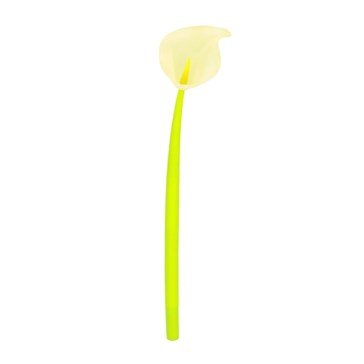 453666_5.jpg