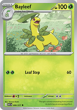 Bayleef (ASC 009).png