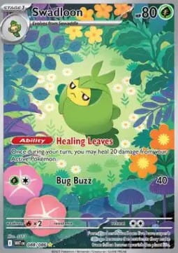 Swadloon (WHT 088).jpg