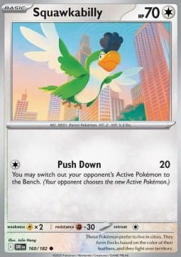 Squawkabilly (DRI 160).jpg