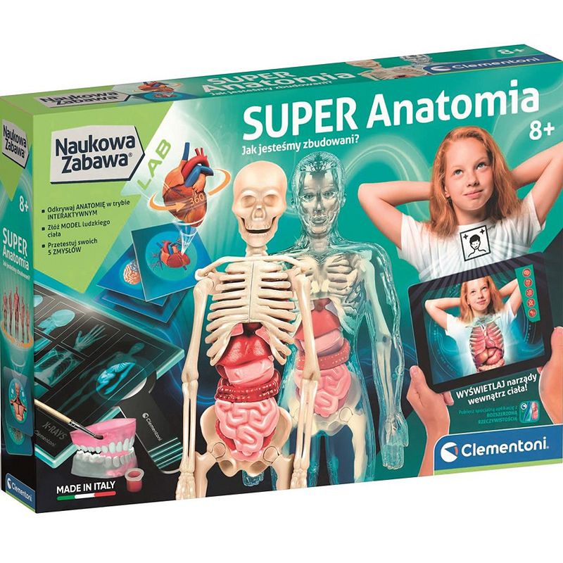 super anatomia mr puggy.jpg