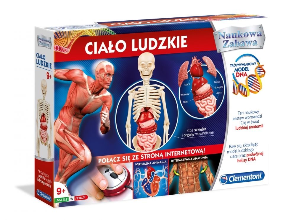 Ciało ludzkie Clementoni mr puggy.jpg