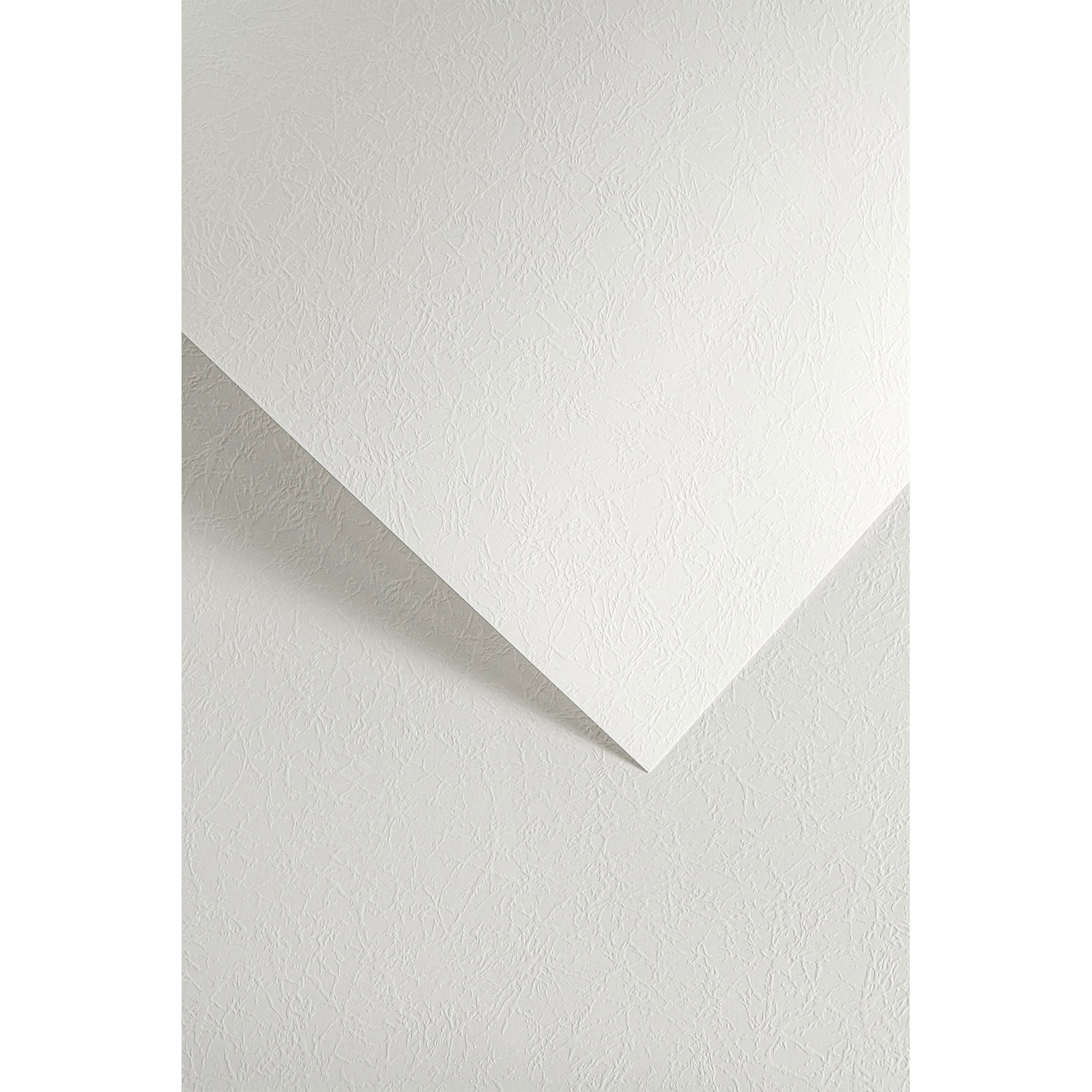 5903069023247.jpg